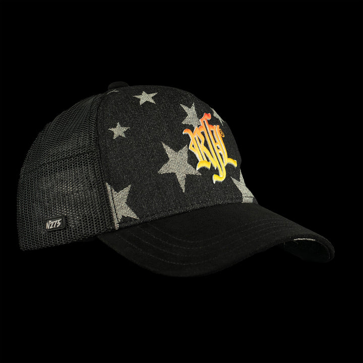 N°275 - ROCK STAR