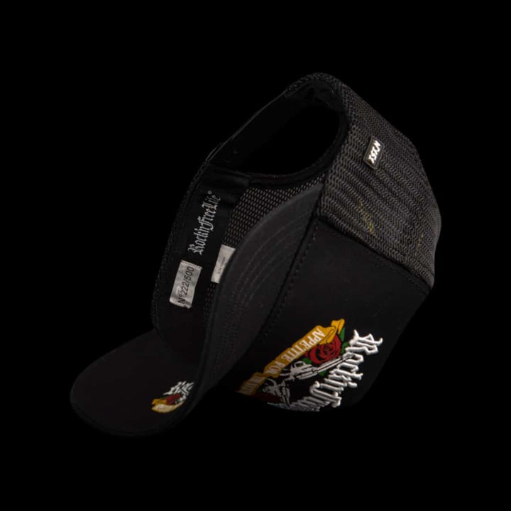 N°151 - DUST'N BONES